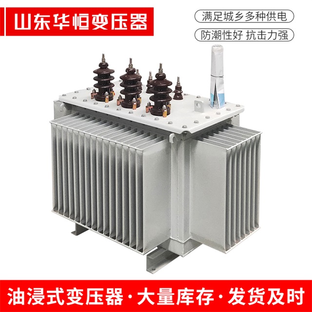 S13-10000/35民乐民乐民乐油浸式变压器厂家